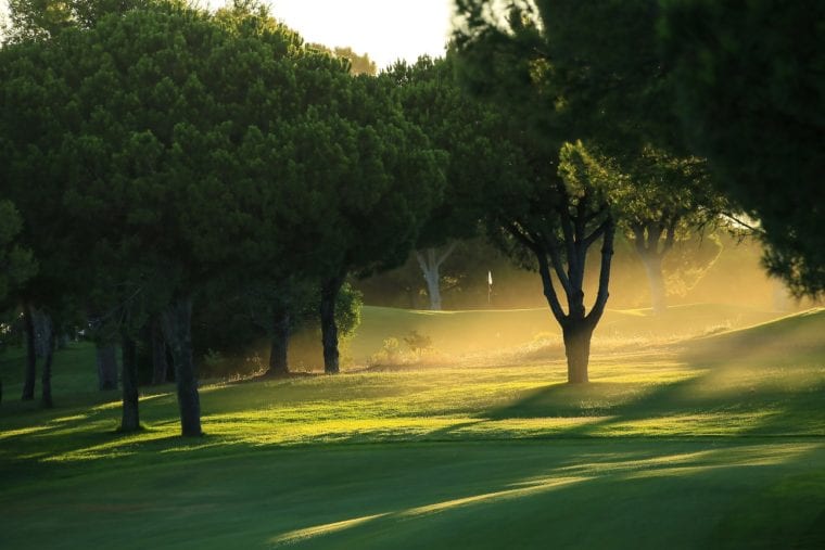 Oceanico Pinhal 13th Portugal golf tourism destination