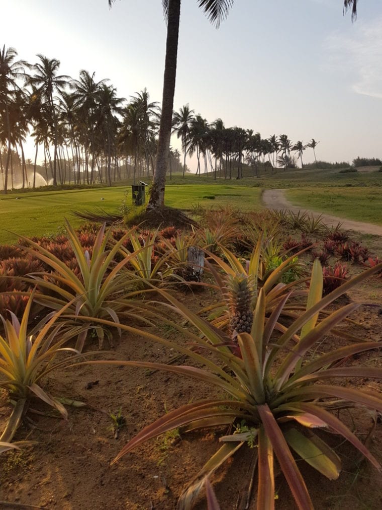 Hambantoto, Sri Lanka edible golf courses