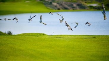 Al Mouj Golf Expands Its International Certifications for Environmental Excellence