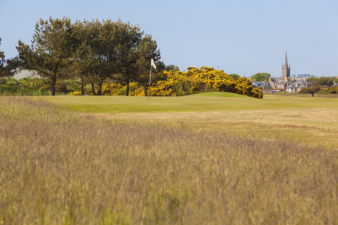 Sweetspot Montrose Golf Links partnership