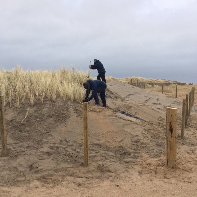 Dune restoration at St Andrews Links Trust
