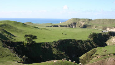 Rosewood Cape Kidnappers Tom Doak designed golf course