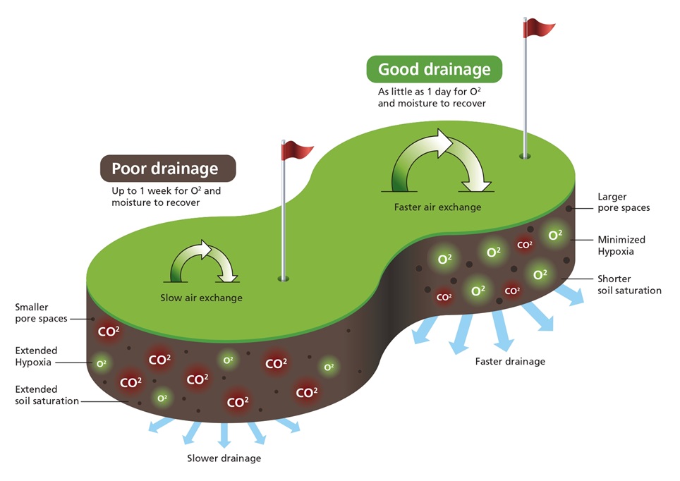 Soil Scout Soil oxygen and moisture dynamics